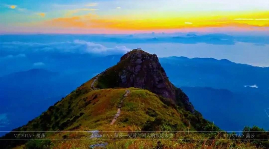 廣東深圳-52赫茲民宿