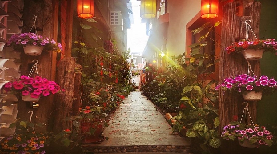 廣東深圳-較場尾面包樹民宿